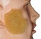 The Costume Center Mutton Chop Men Adult Halloween Beard Costume Accessory - One Size - Brown